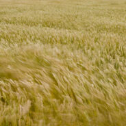 Moving Toward God