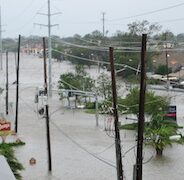 Katrina Recollections: Darla Digirolamo LeBlanc