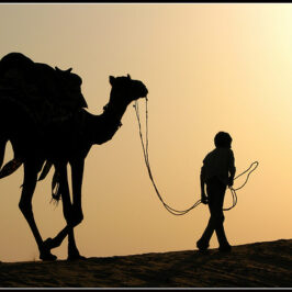 Trav’lers on a Journey