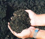 Coal Ash & Environmental Justice