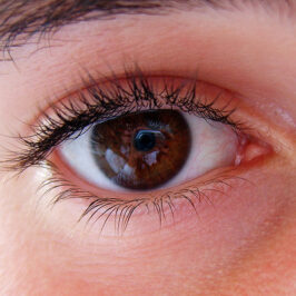 Did You See . . . ?