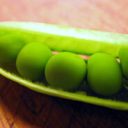 Of Pea Pods and Hurricanes