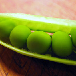 Of Pea Pods and Hurricanes