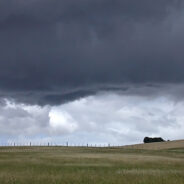 Symphony Before the Storm