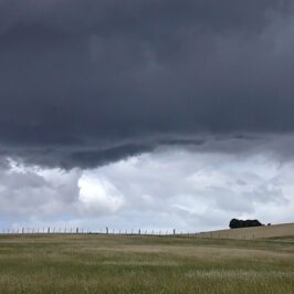 Symphony Before the Storm