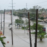 Katrina Recollections: Darla Digirolamo LeBlanc